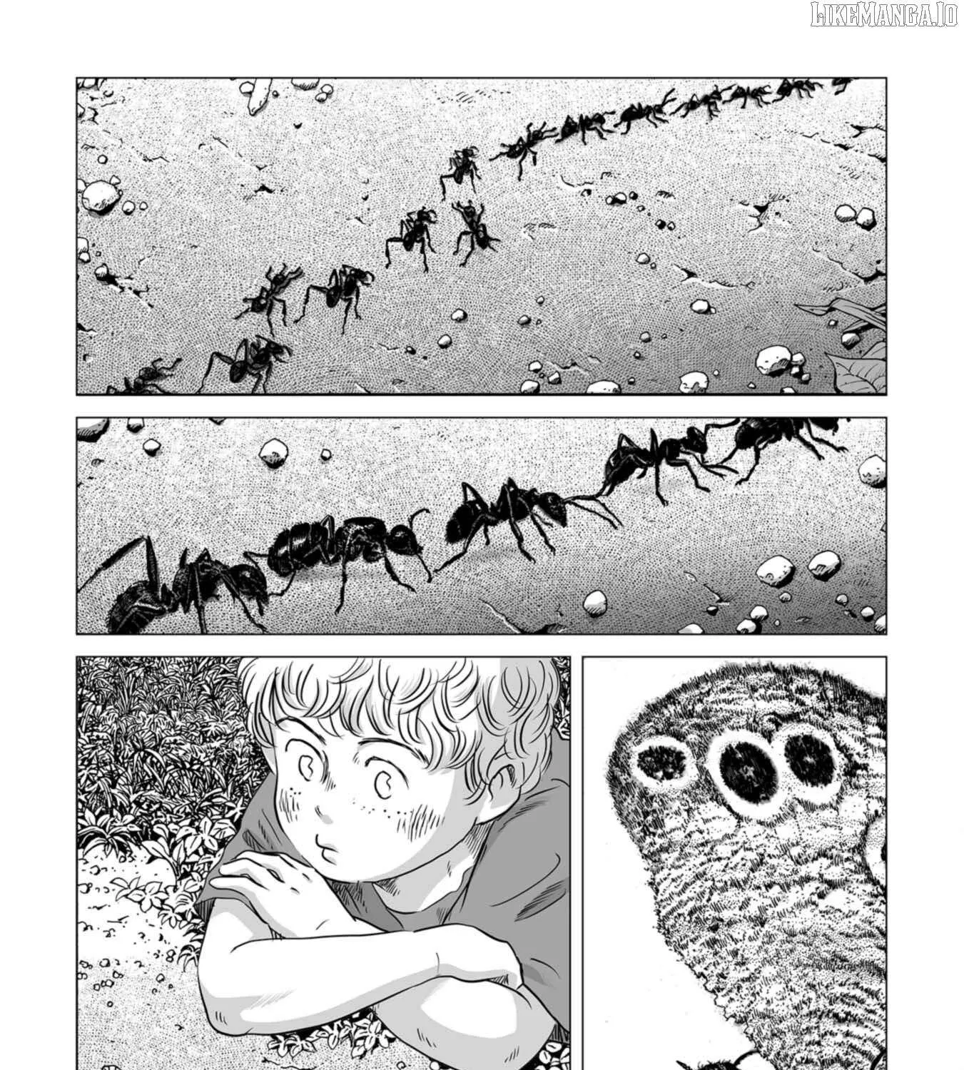 Read Plinivs chapter 79 image 2 on Lezhin
