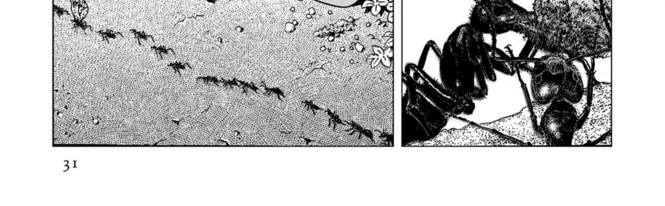 Read Plinivs chapter 79 image 3 on Lezhin