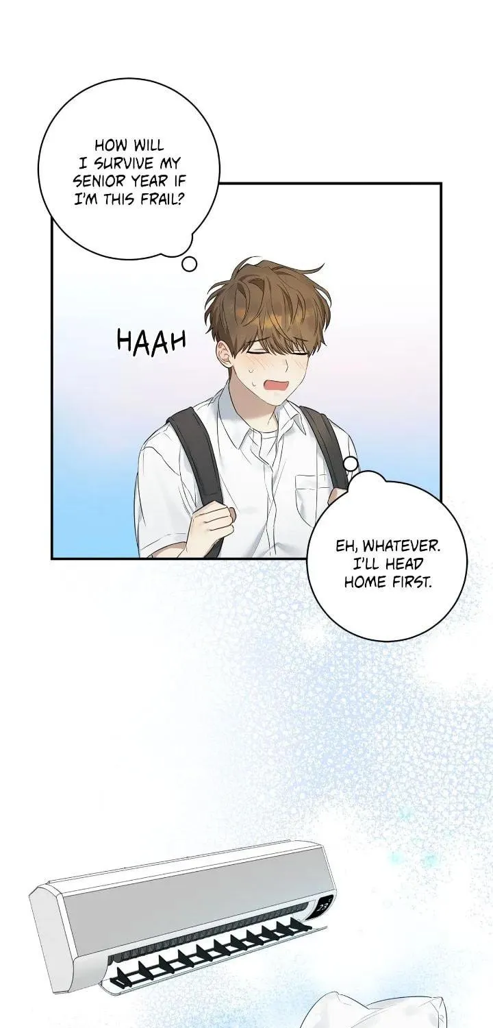 Read Plum Candy Love [Official] chapter 1 image 24 on Lezhin