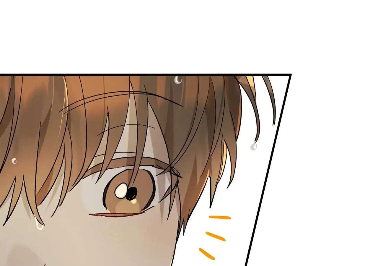 Read Plum Candy Love [Official] chapter 10 image 13 on Lezhin