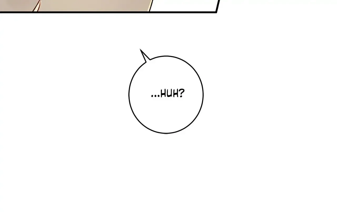 Read Plum Candy Love [Official] chapter 10 image 14 on Lezhin