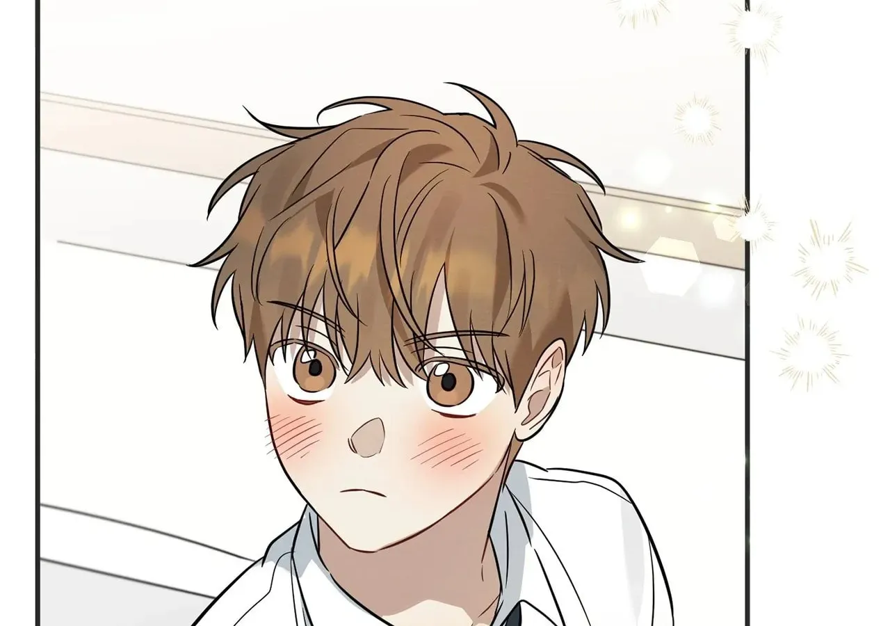 Read Plum Candy Love [Official] chapter 19 image 3 on Lezhin