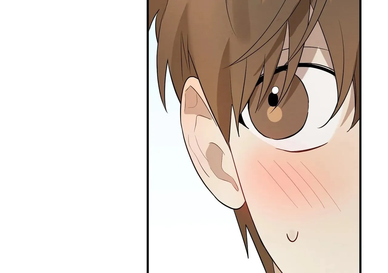 Read Plum Candy Love [Official] chapter 3 image 66 on Lezhin