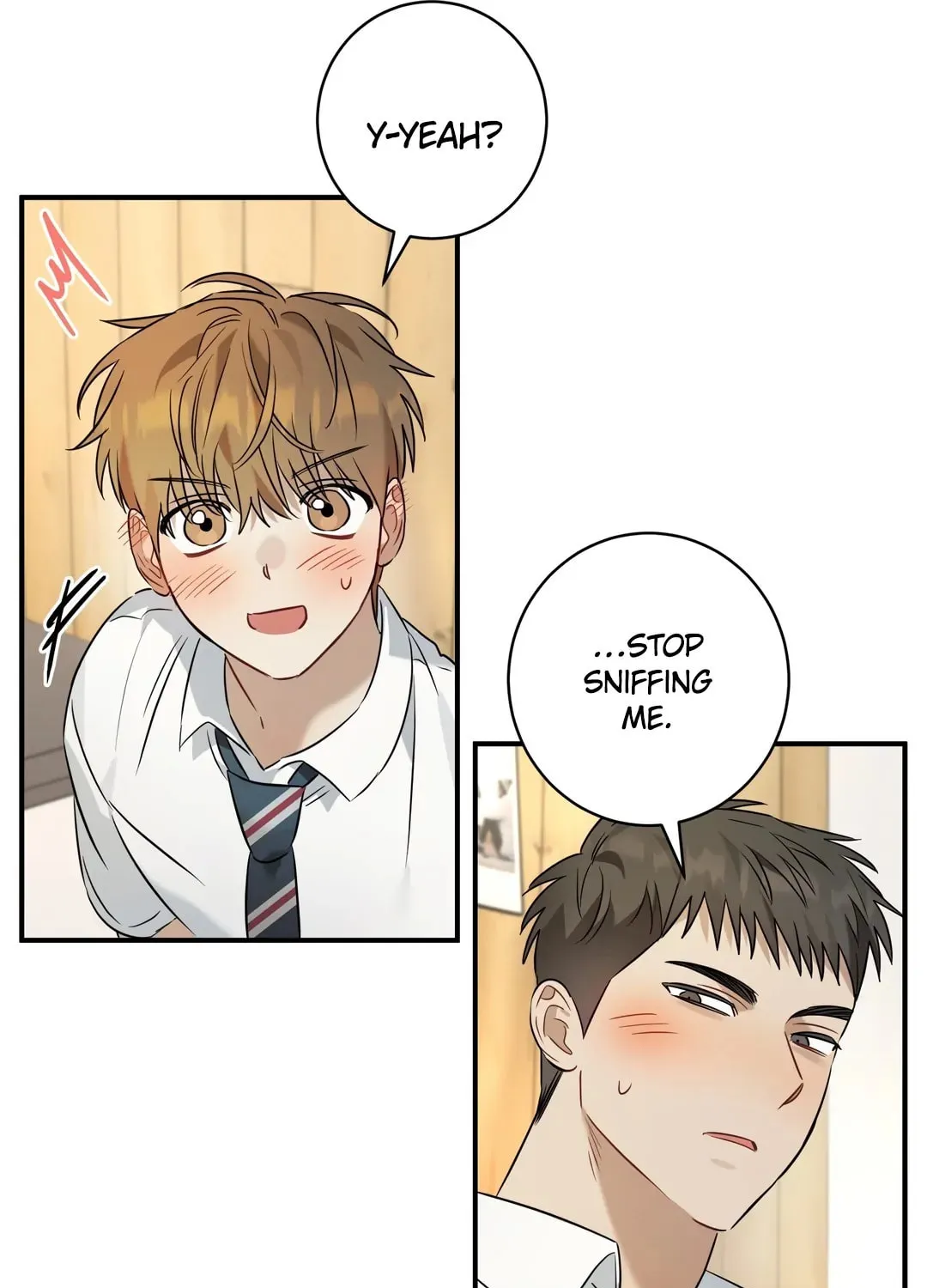 Read Plum Candy Love chapter 16 image 37 on Lezhin
