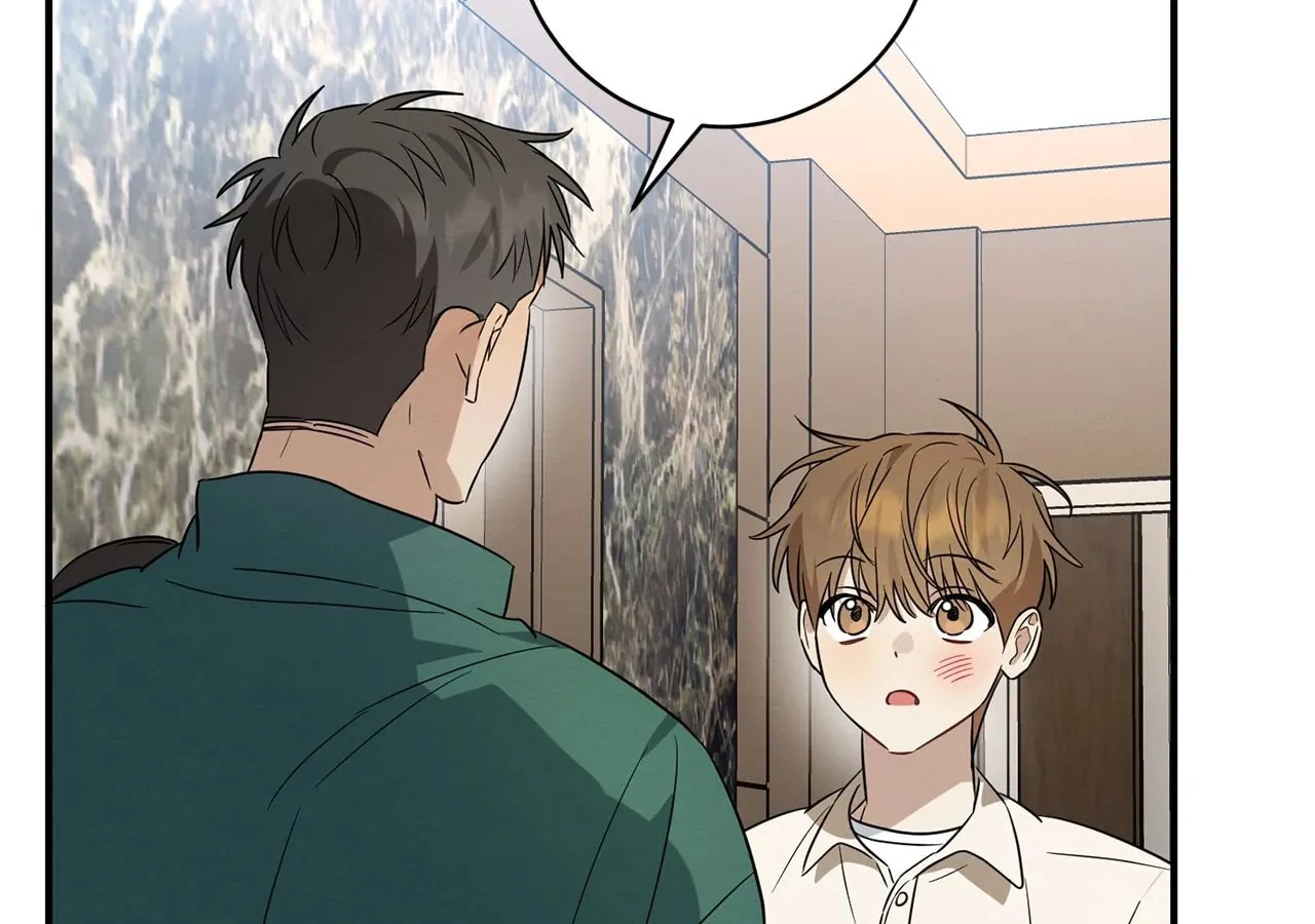 Read Plum Candy Love chapter 33 image 85 on Lezhin