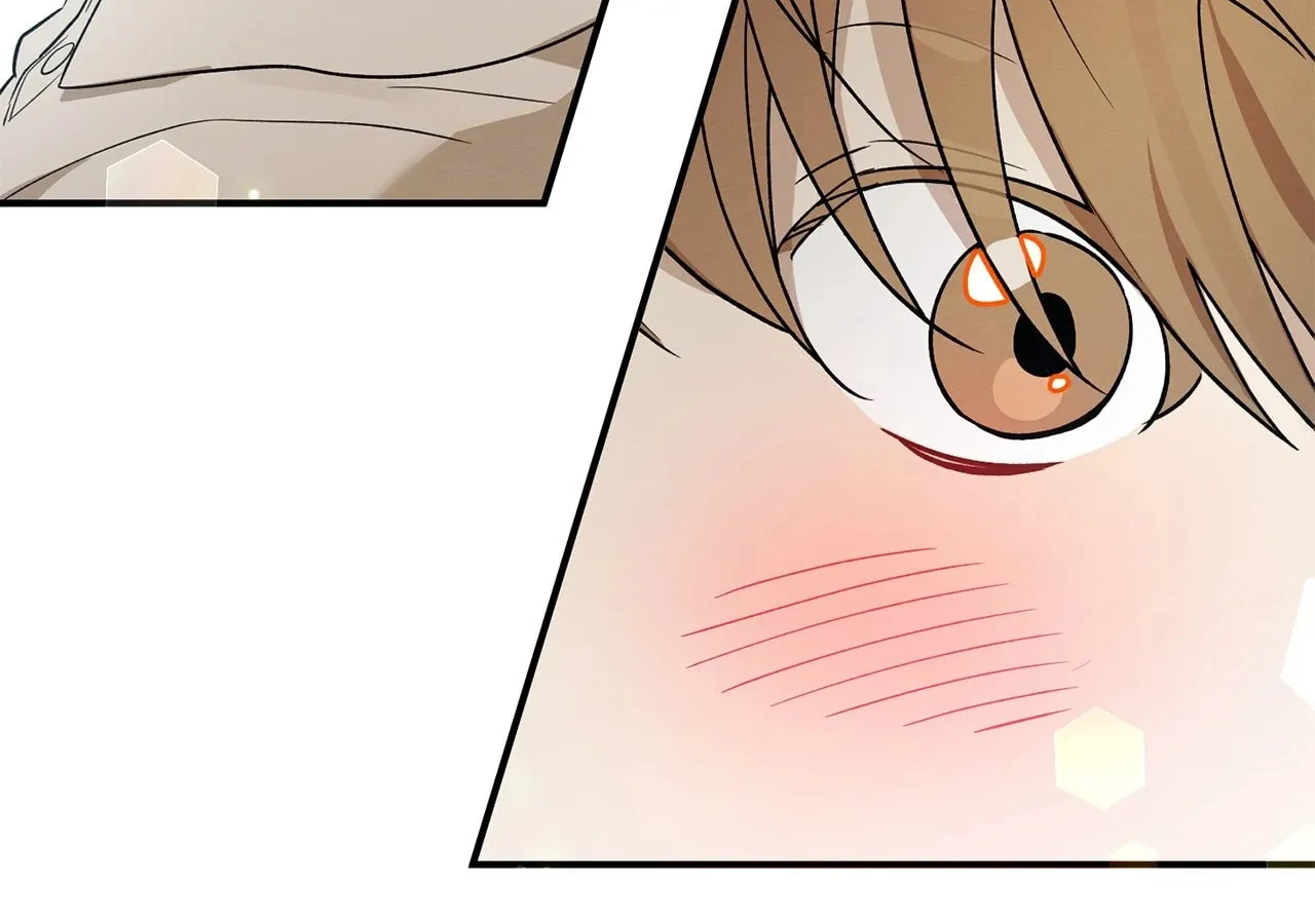 Read Plum Candy Love chapter 34 image 65 on Lezhin
