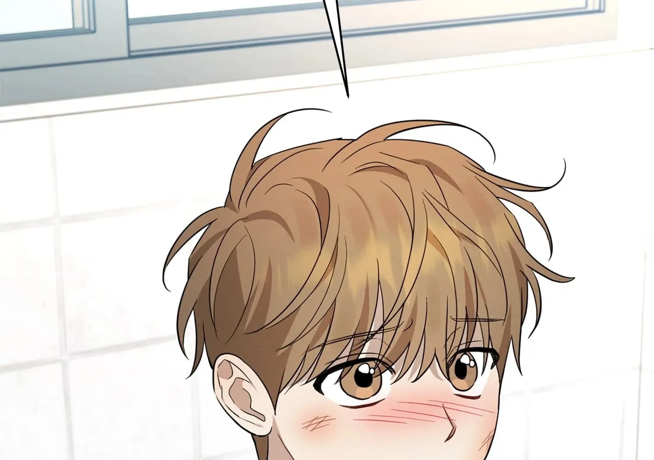 Read Plum Candy Love chapter 38 image 84 on Lezhin