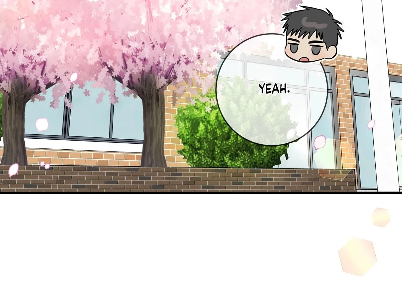 Read Plum Candy Love chapter 44 image 44 on Lezhin