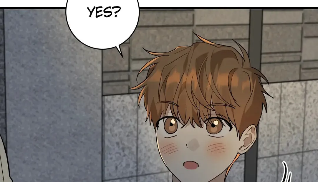 Read Plum Candy Love chapter 8 image 5 on Lezhin
