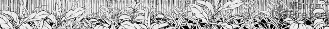Read Pocha Climb! chapter 5 image 5 on Lezhin