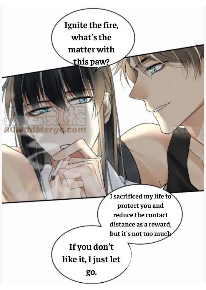 Read Poison Antidote chapter 13 image 10 on Lezhin