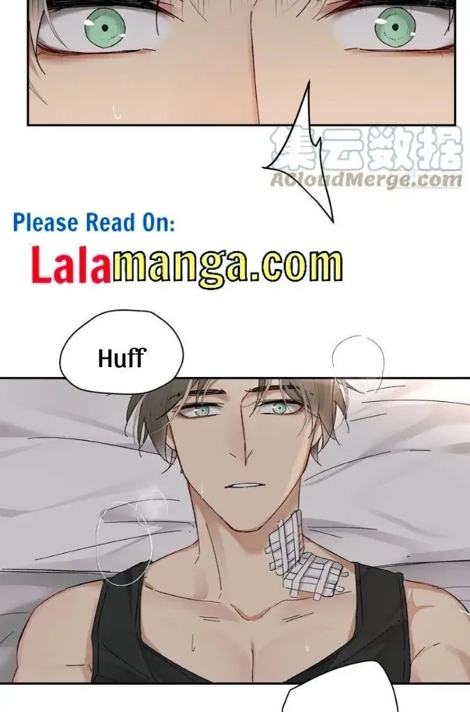 Read Poison Antidote chapter 31 image 30 on Lezhin