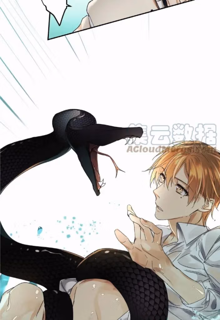 Read Poison Antidote chapter 65 image 11 on Lezhin