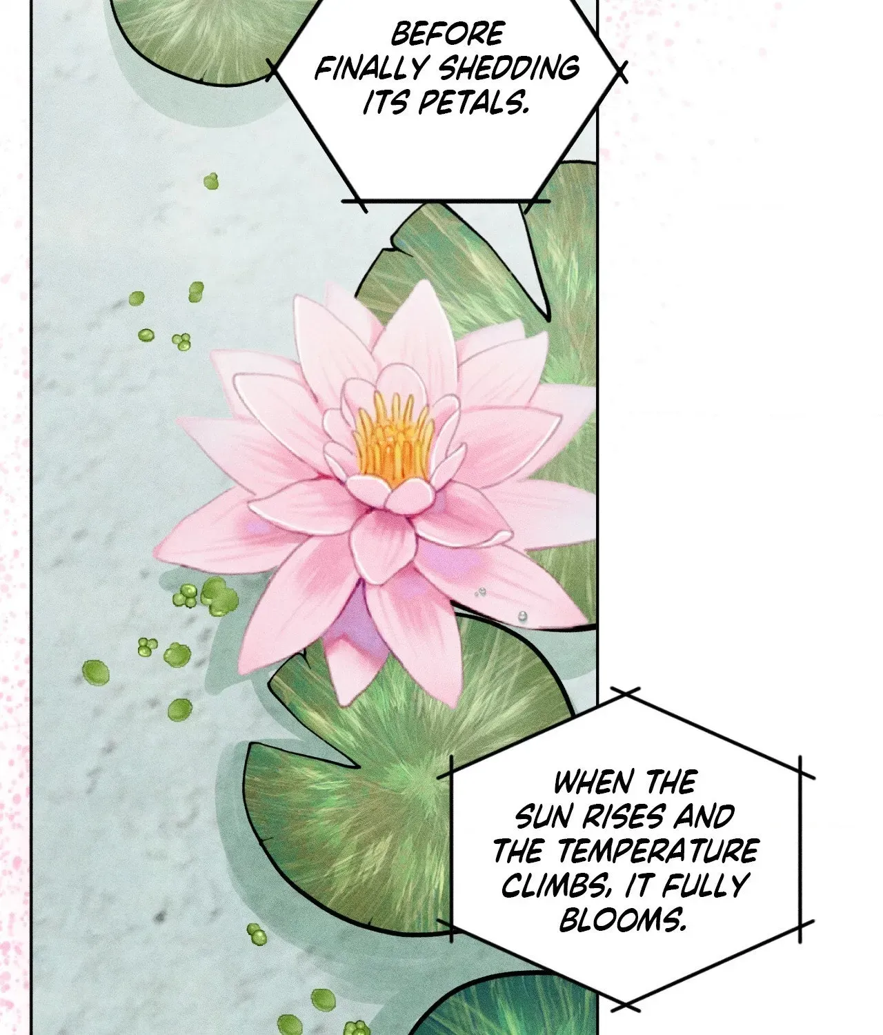 Read Pond Where Flowers Fall chapter 66 image 26 on Lezhin