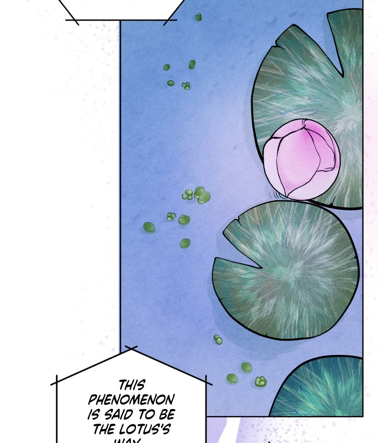 Read Pond Where Flowers Fall chapter 66 image 28 on Lezhin