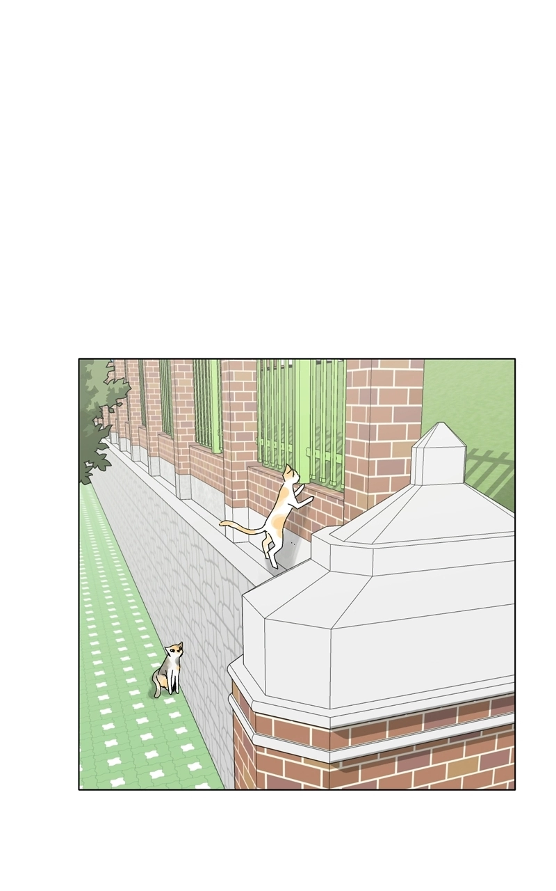 Read Pool Boy chapter 36 image 31 on Lezhin
