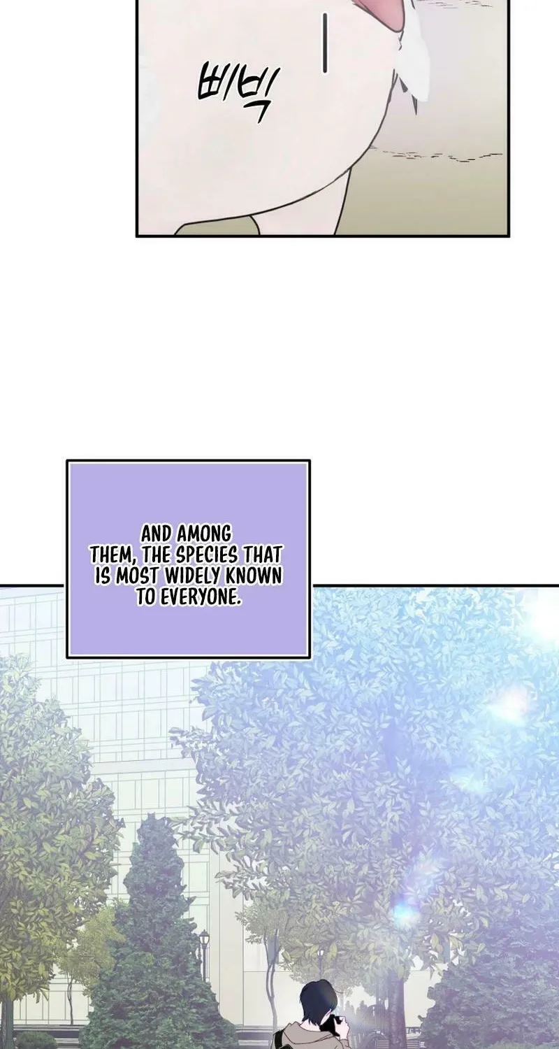 Read Poor Cambion chapter 1 image 21 on Lezhin
