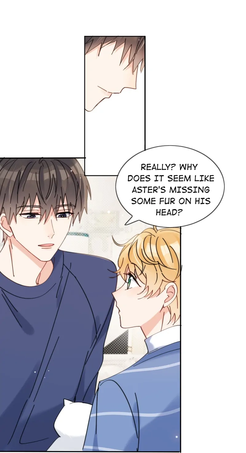 Read Poor Quality Cream chapter 14 image 10 on Lezhin