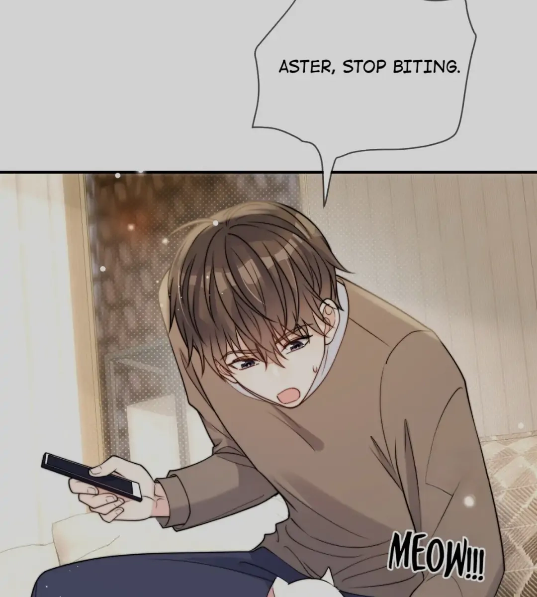 Read Poor Quality Cream chapter 4 image 37 on Lezhin