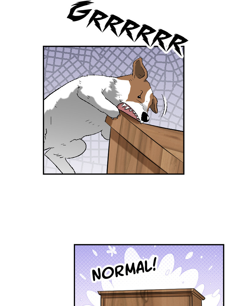 Read Possessed chapter 74 image 20 on Lezhin
