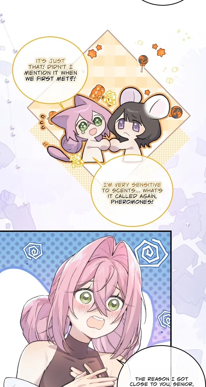 Read Possessing My Venus chapter 5 image 31 on Lezhin