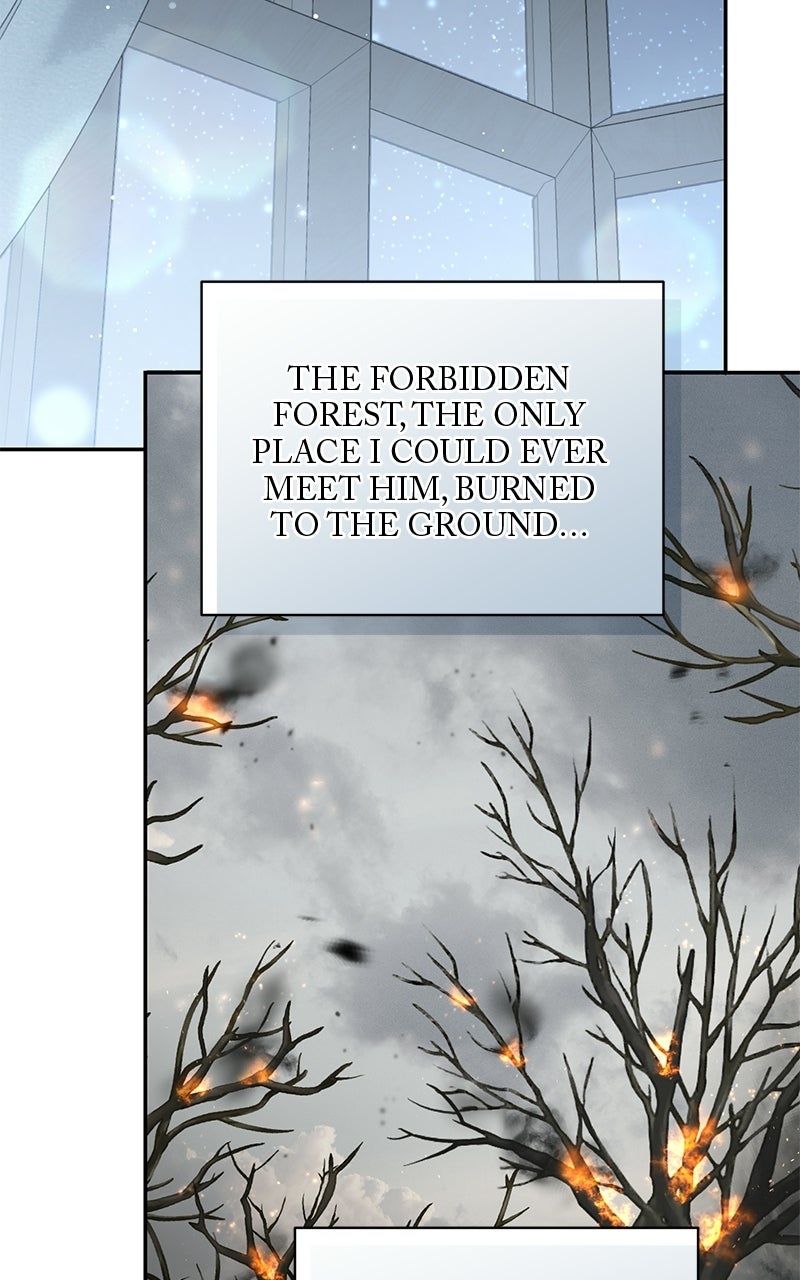 Read Praesepe Outside the Cage chapter 52 image 29 on Lezhin