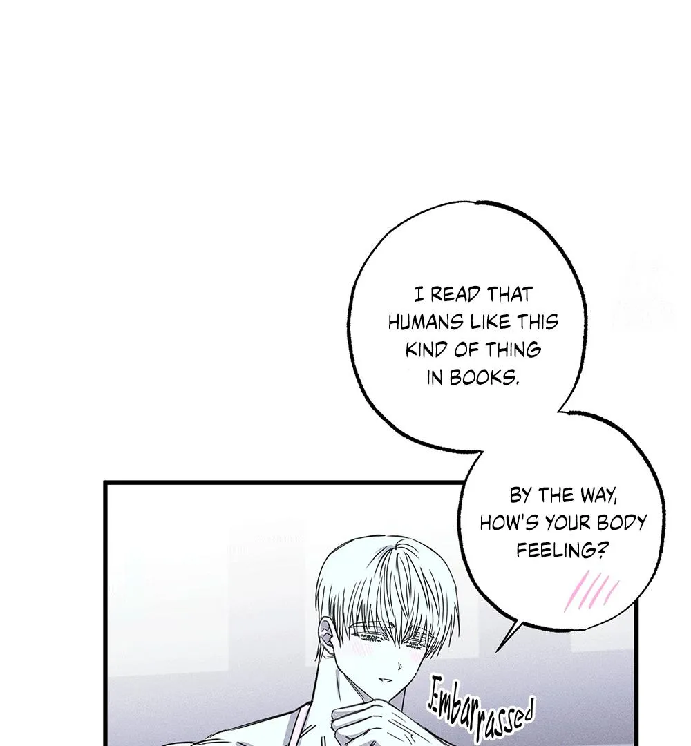 Read PREDATOR chapter 3 image 9 on Lezhin