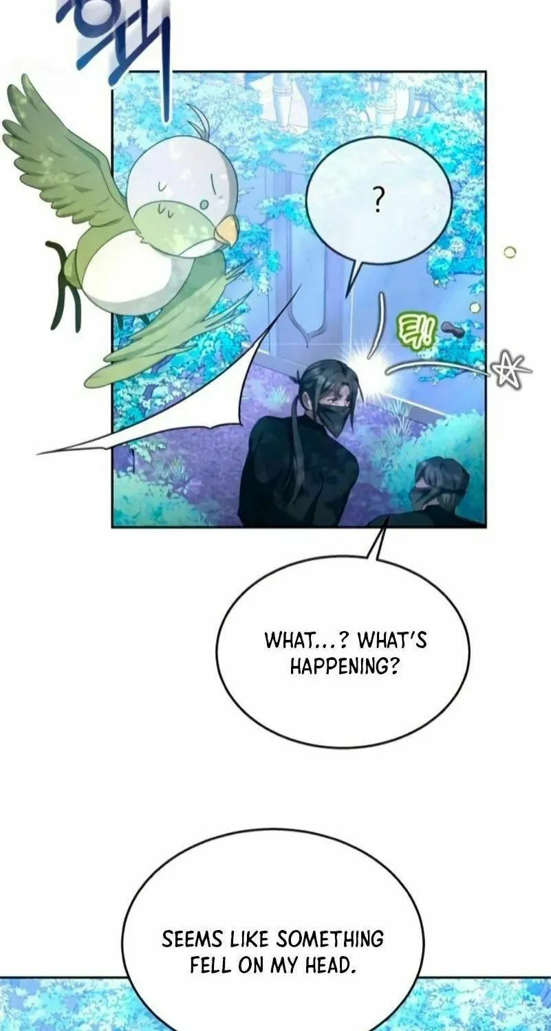 Read Predatory Bride chapter 47 image 72 on Lezhin