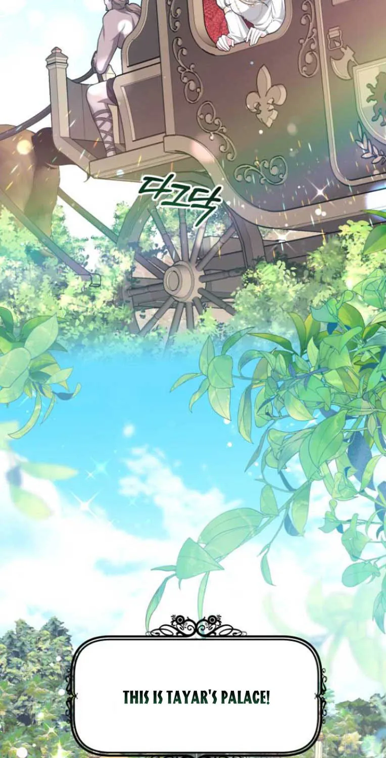 Read Predatory Bride chapter 8 image 3 on Lezhin