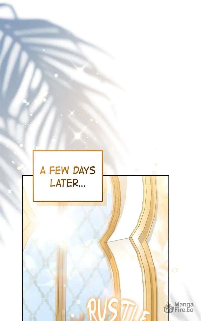 Read Predatory Bride chapter 98 image 71 on Lezhin