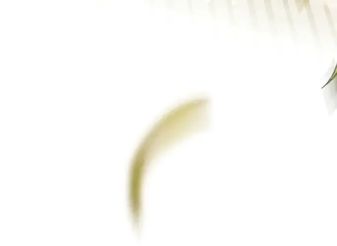 Read Predatory Marriage chapter 0.5 image 105 on Lezhin