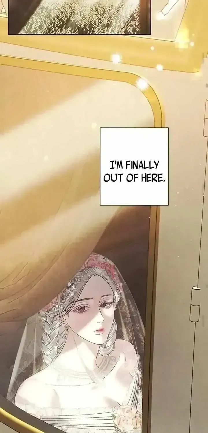 Read Predatory Marriage chapter 1.3 image 70 on Lezhin