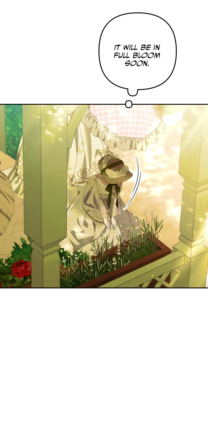 Read Predatory Marriage chapter 10 image 36 on Lezhin