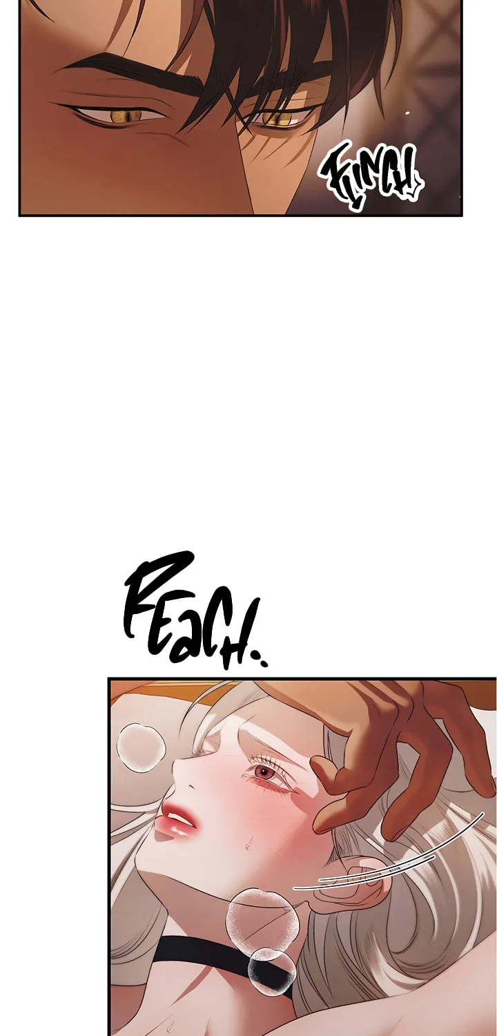 Read Predatory Marriage chapter 3 image 67 on Lezhin