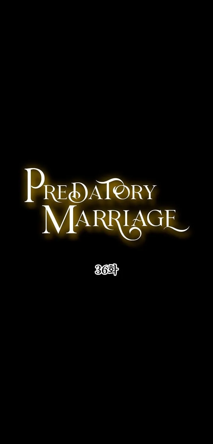 Read Predatory Marriage chapter 36 image 8 on Lezhin