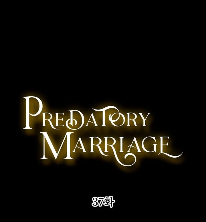 Read Predatory Marriage chapter 37 image 7 on Lezhin