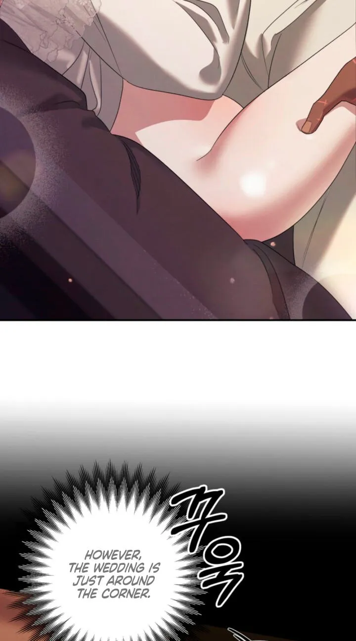 Read Predatory Marriage chapter 89 image 74 on Lezhin