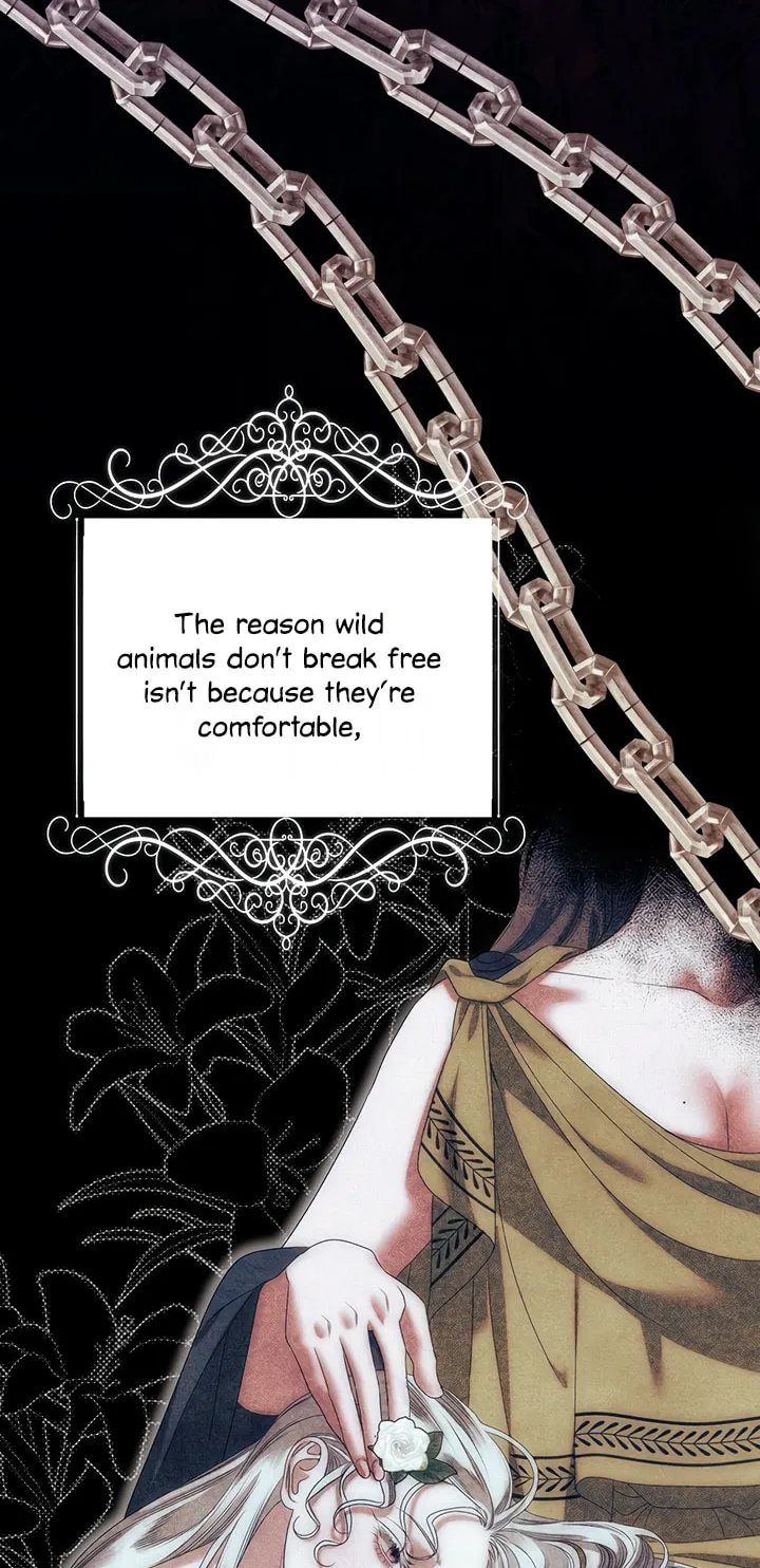Read Predatory Marriage chapter 9 image 26 on Lezhin