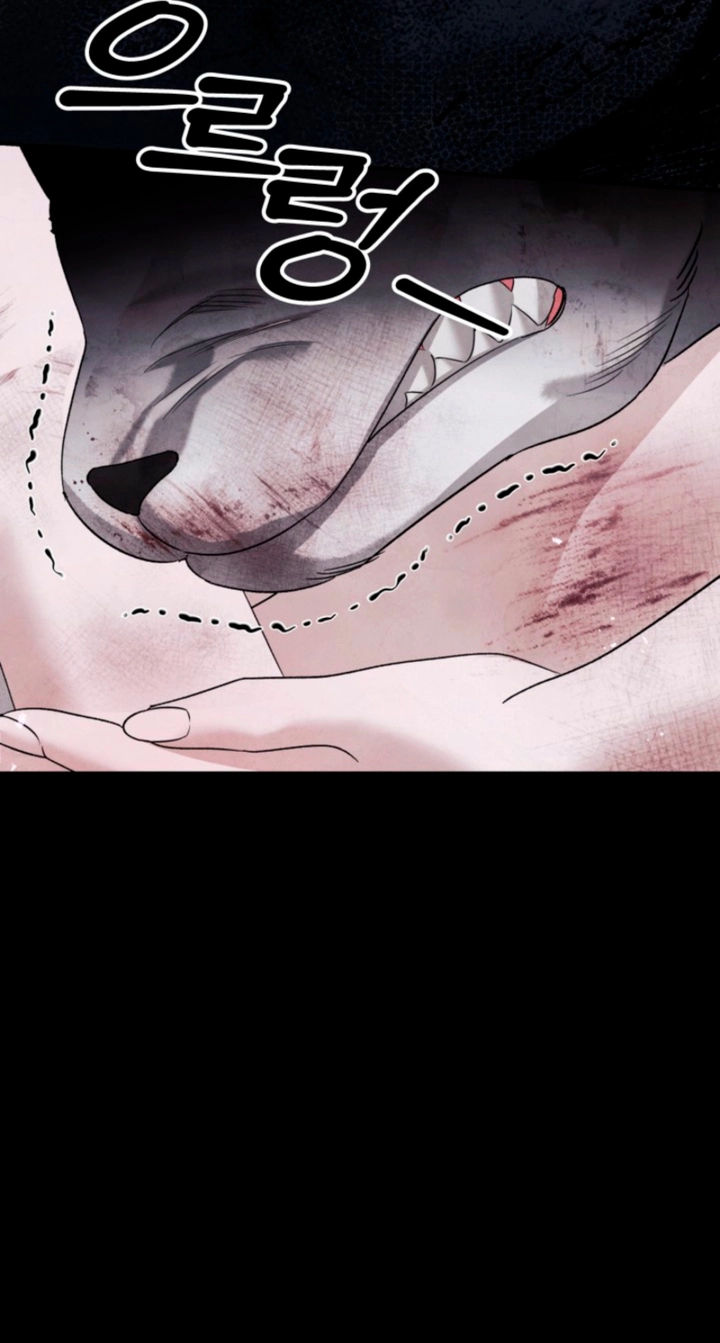 Read Predatory Marriage chapter 95 image 103 on Lezhin
