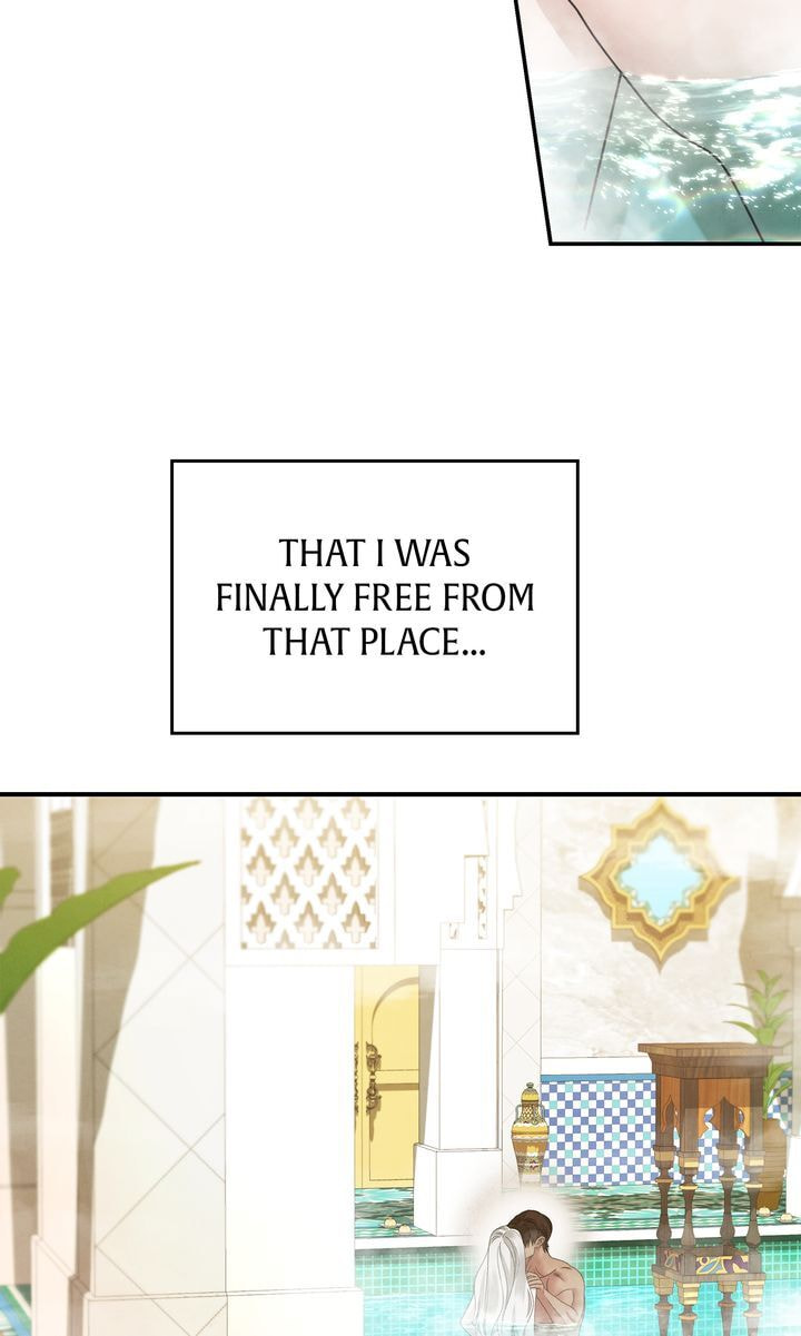 Read Predatory Marriage chapter 48 image 91 on Lezhin