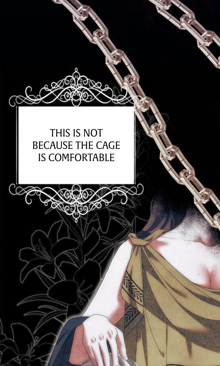 Read Predatory Marriage chapter 6 image 30 on Lezhin