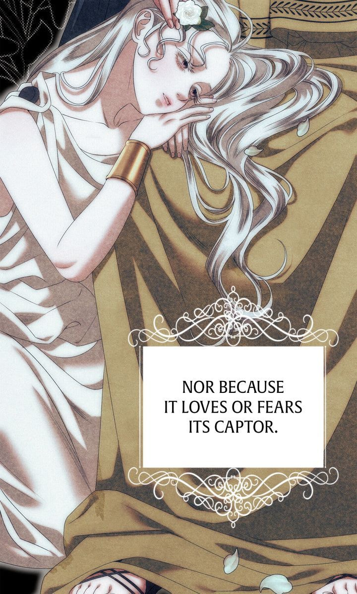 Read Predatory Marriage chapter 6 image 31 on Lezhin