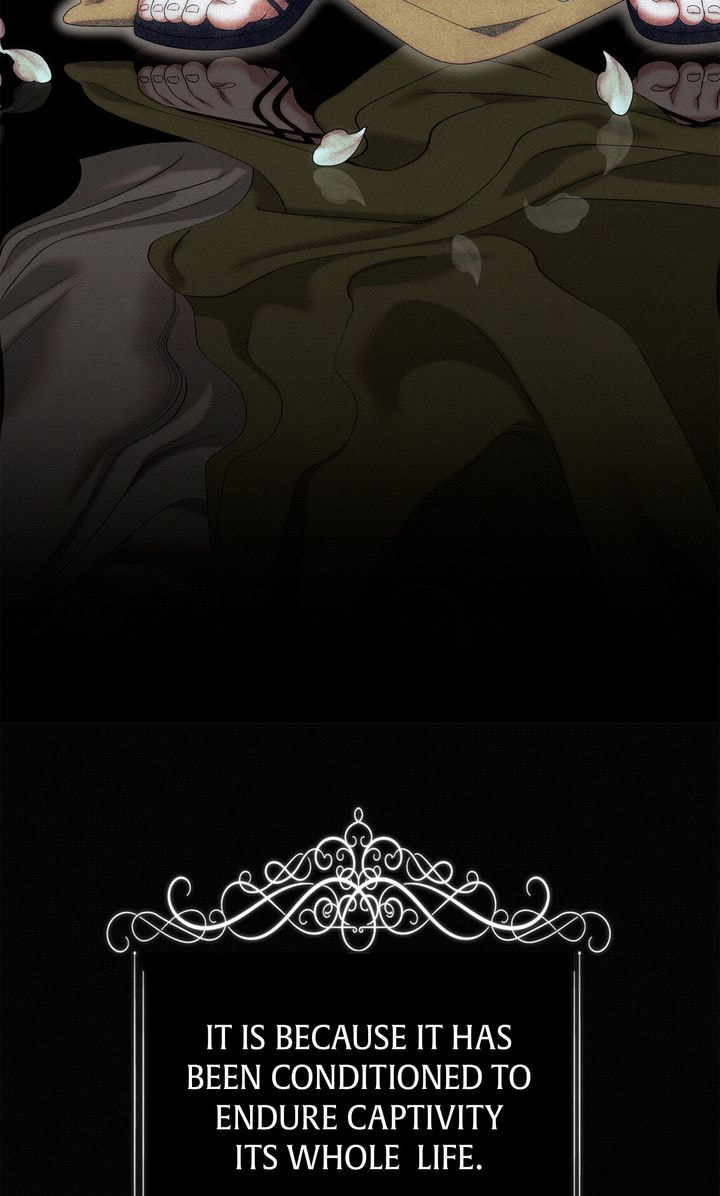 Read Predatory Marriage chapter 6 image 32 on Lezhin