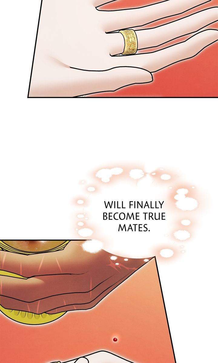 Read Predatory Marriage chapter 65 image 80 on Lezhin