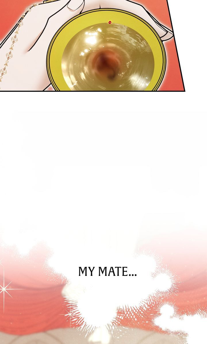 Read Predatory Marriage chapter 65 image 81 on Lezhin