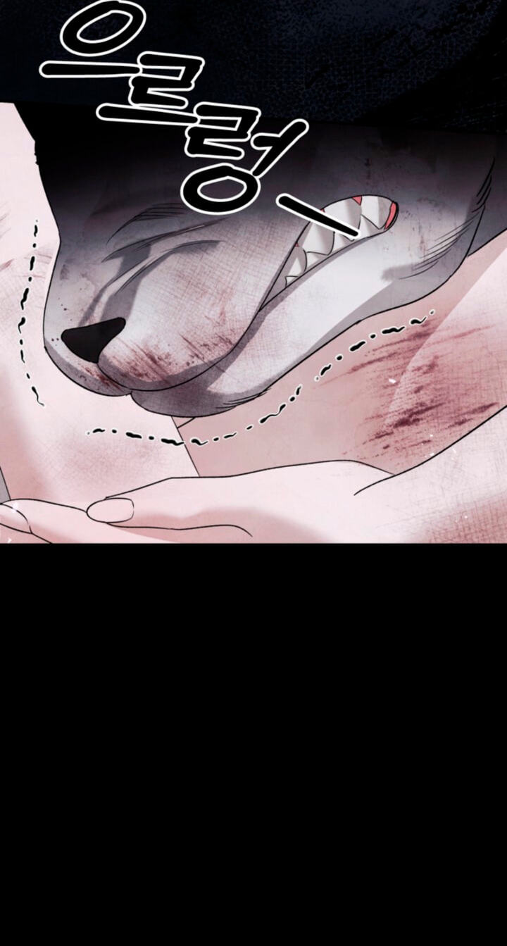 Predatory Marriage Chapter 95 page 104 - 