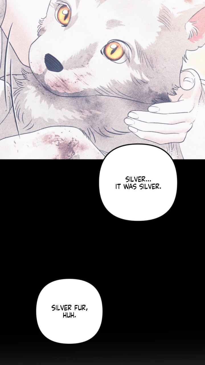 Predatory Marriage Chapter 96 page 37 - 