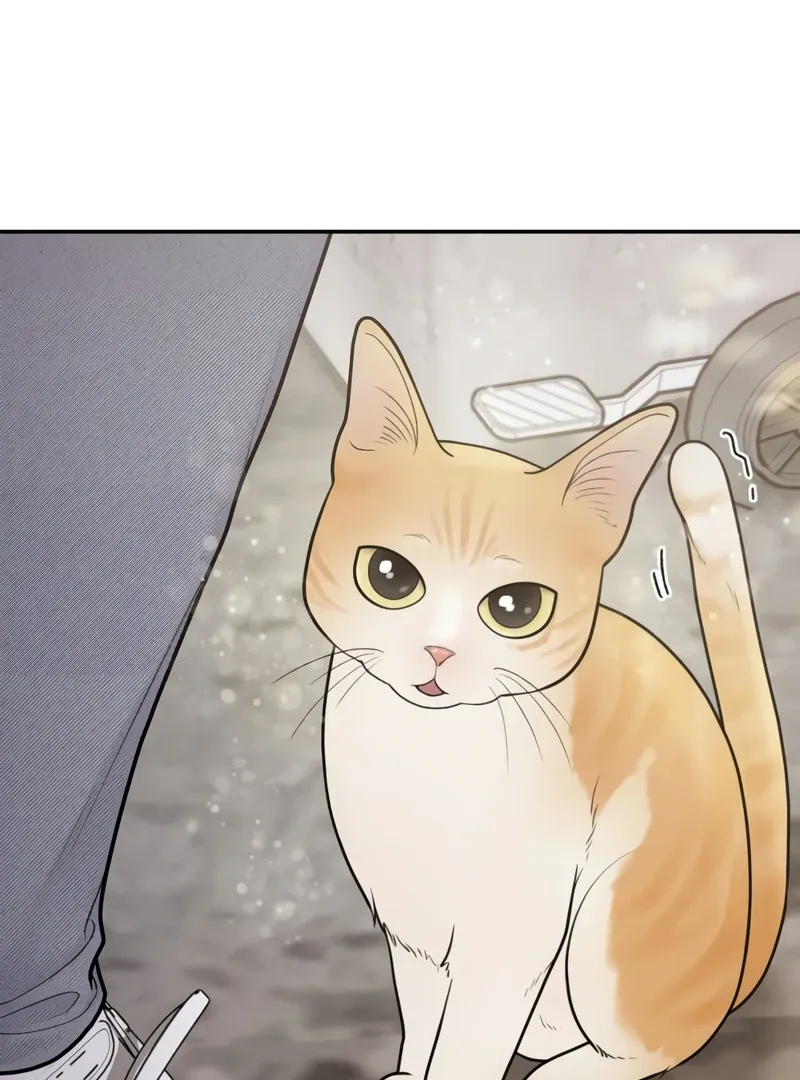 Read Pregnancy, Plunder chapter 1 image 79 on Lezhin