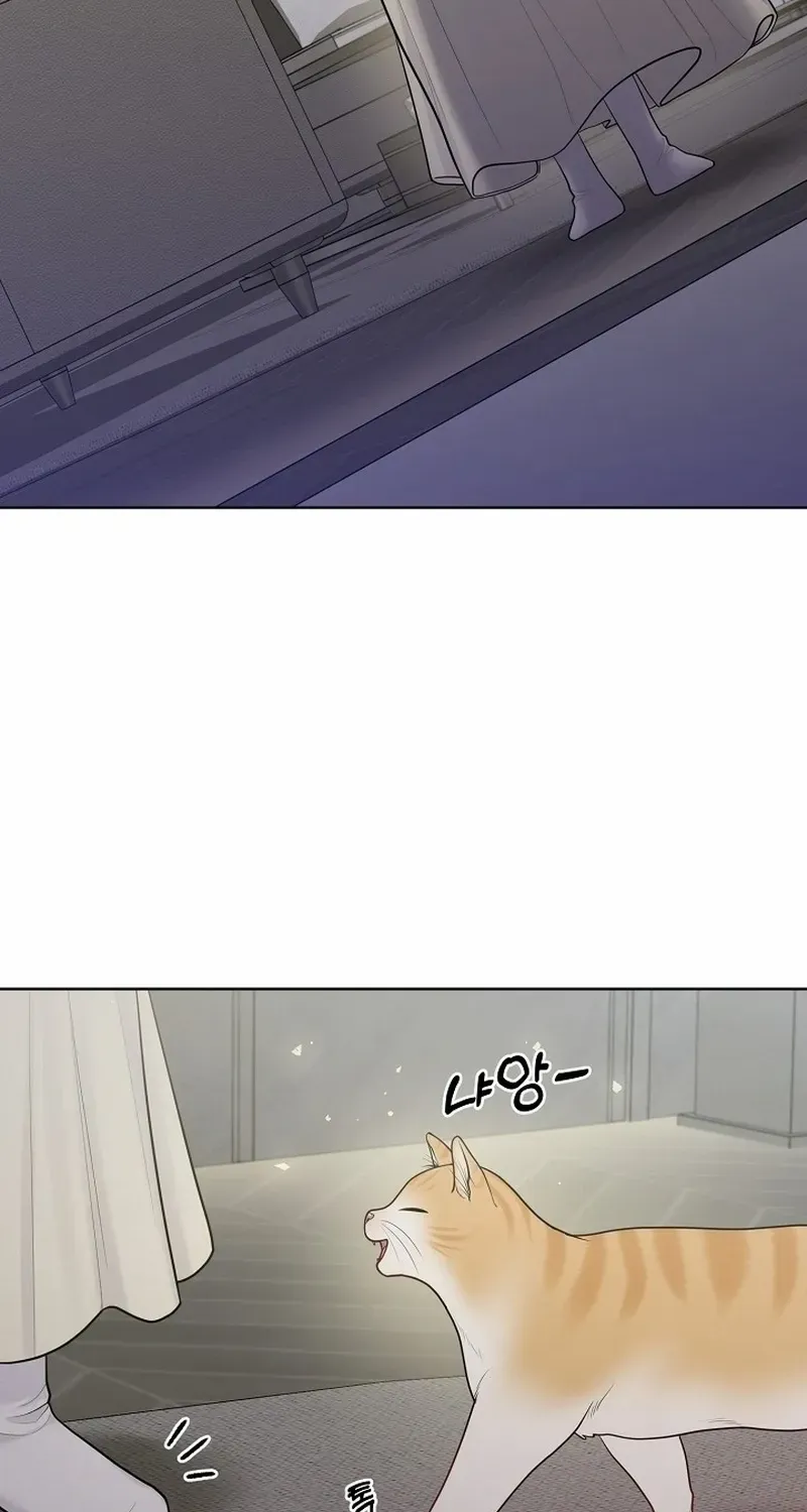 Read Pregnancy, Plunder chapter 19 image 64 on Lezhin