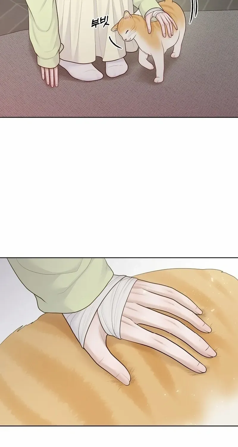 Read Pregnancy, Plunder chapter 19 image 66 on Lezhin